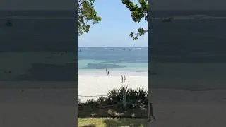 Breathtaking 🧘‍♂️ Diani Beach Kenya 🇰🇪