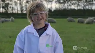 Cool Science Explained: Episode 2