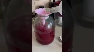 Вишневка 2024. ОЧУМЕТЬ как вкусненько🤩 #крым #отдыхвкрыму #отдых #лето