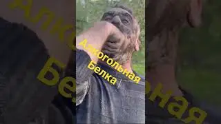 ОСТОРОЖНО БЕЛАЯ ГОРЯЧКА. АЛКОГОЛЬНЫЙ ДЕЛИРИЙ. У МУЖИКА БЕЛУГА 