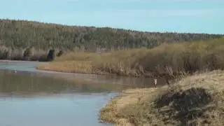 Усть-Утка