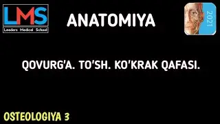 QOVURG'A. TO'SH. KO'KRAK QAFASI.