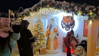 Хабаровск новогодний . 2024