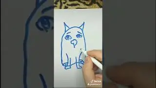 Кисяндра или просто иллюзия кисы?