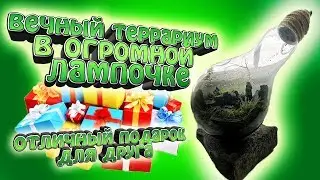 Вечный террариум в огромной лампочке. Такого не купишь в магазине!