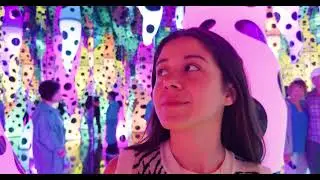 Curator Talks: Yayoi Kusama: LOVE IS CALLING