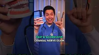 A FAST & Aggressive Cranial Nerve Exam 🩻 | #ASMR