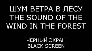 Wind noise in the forest | Black screen | 5 HOURS
