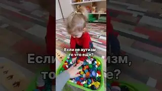 ЕСЛИ НЕ АУТИЗМ, ТО ЧТО ЕЩЕ? 