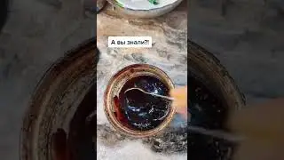 ⁉️ А вы знали ⁉️ | ТикТок #shorts