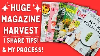 ✂️HUGE Magazine Harvest💥 Sharing tips, ideas, and my process! #gluebook