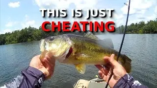 Is THIS The BEST Fall Rig For Bass?!?!? (Spoiler -YES!!!!)