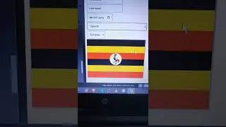 REST Countries API - FREE API to exercise your skills