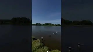Строю плот 6*4 