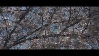 Ariana Grande - voice without auto tune