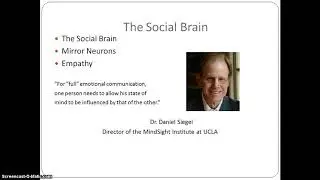 Psychology of Success: Lecture 8