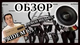 ОБЗОР новинки от PRIDE M 6.5! Эстрадный мид за разумные деньги!