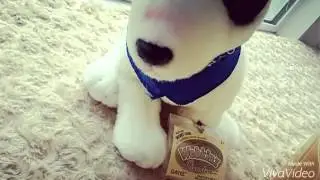 [Remember My Name]