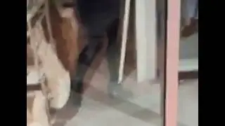 Window shopping while wearing female clothes