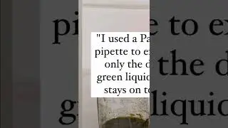 Barbara Almeida from Brazil shows us how to make a Spirulina anthotype. Info in comment.