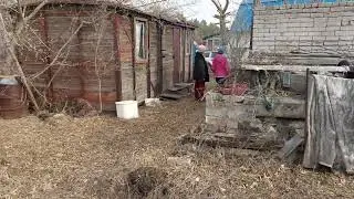 20220417 172003 Садоводство Аэропорт 3