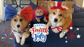 Happy 4th of July from our silly fur family!