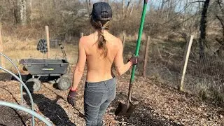 My Three Year Old Food Forest is GROWING! New Ideas for Spring Planting