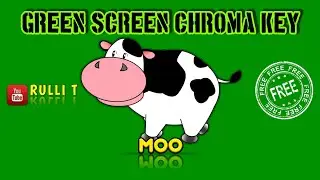Green Screen HD - MOO, COW animation 🔊 sound