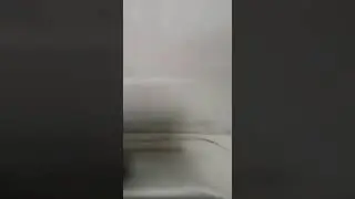Дезинсекция тараканов