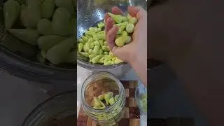 Ornamental Pepper (Hot Pepper) Pickle 