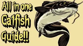 HOW TO Catch MORE Catfish Right Now - Catfishing Baits, Tips, Tricks