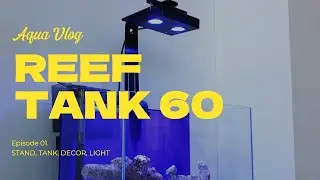 Reef tank 60. Episode 1.  Stand. Aquarium. Decor. Light.