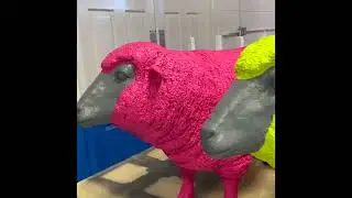 Retail display spray painted