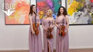 StrinGirls - La vie en rose - Edith Piaf (string trio cover)