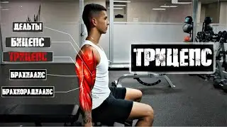 ТРЕНИРОВКА РУК - научный подход (ЧАСТЬ 2: ТРИЦЕПС) | Джереми Этье