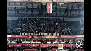 Гробари држе час навијања ┃ КК цз/фмп-КК Партизан 21.11.2024.