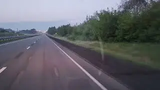 Смоленские лоси