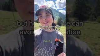 Bear aware tips from Leave No Trace