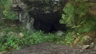 Verdant Sanctuary