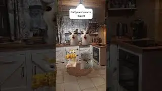 а вам бабушка дает деньги? 