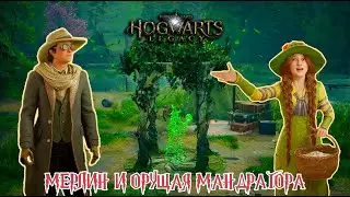 МЕРЛИН И ОРУЩАЯ МАНДРАГОРА - Hogwarts Legacy: Прохождение #6