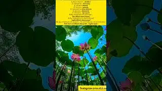 Rus dili dersleri w/p+994505839292 #rus_dili_azerbaijan #azerbaijan #rusca #rusdili