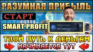 Smart Profit - Где зарабатывать деньги? (САНКЦИИ - КРИЗИС - СКАМЫ)