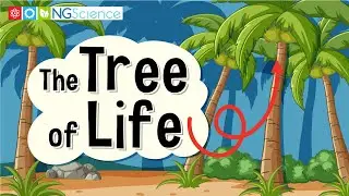 The Tree of Life