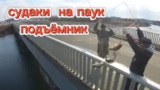 7 СУДАКОВ ЗА ОДИН ПОДЪЕМ. 20 кг СУДАКА ЗА 30 МИНУТ НА ПАУК. 