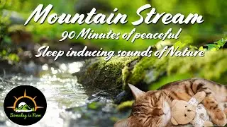 Relaxing Mountain Stream for Deep Sleep