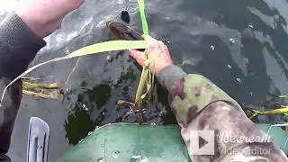 Когда КЛЮЁТ лучше ДО или ПОСЛЕ ДОЖДЯ. ЩУКА.