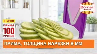 #ПРИМА100уроков