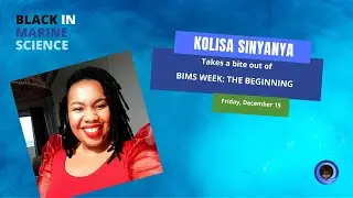 BIMS Bites-BIMS Week: The Beginnings