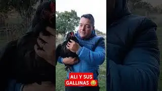 ALI Y SU AMOR POR LAS GALLINAS #maldonado #gallinas #mascotas #uruguay